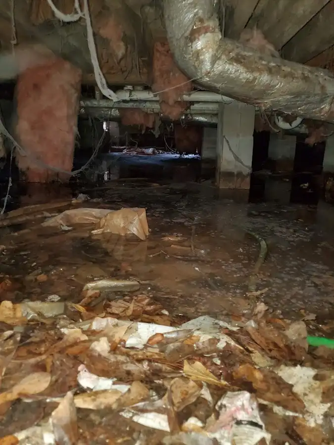 Crawl space flood assessment for Leak Detection & Repair in Saddlebrooke